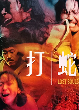 打蛇LostSouls1980BD1080PX264AAC国粤双语中字【欧美高清国产成人TV】